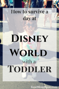 Disney World with a toddler