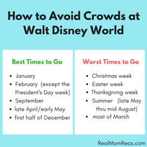 Disney World crowds