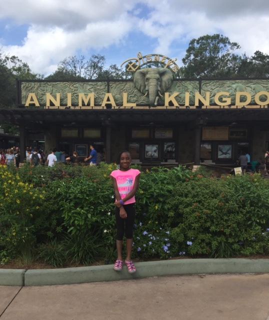 Animal Kingdom including avatar