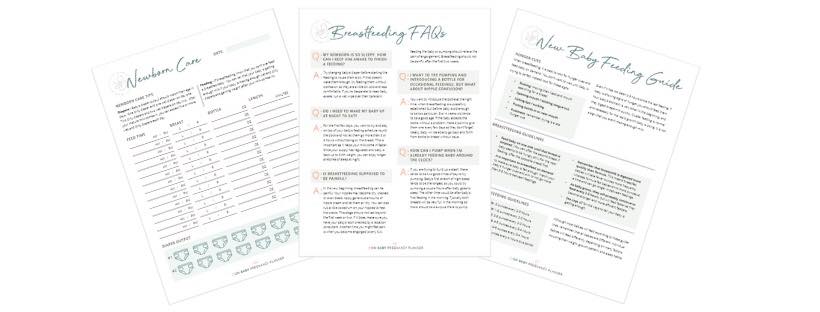 pregnancy planner useful sheets examples