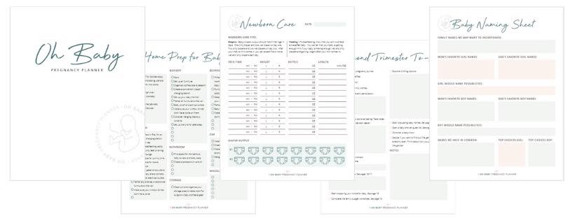 pregnancy planner and cover page