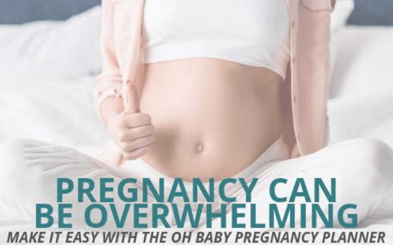 Oh Baby Pregnancy Planner Banner