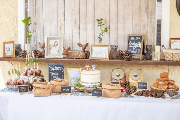rustic woodland baby shower theme